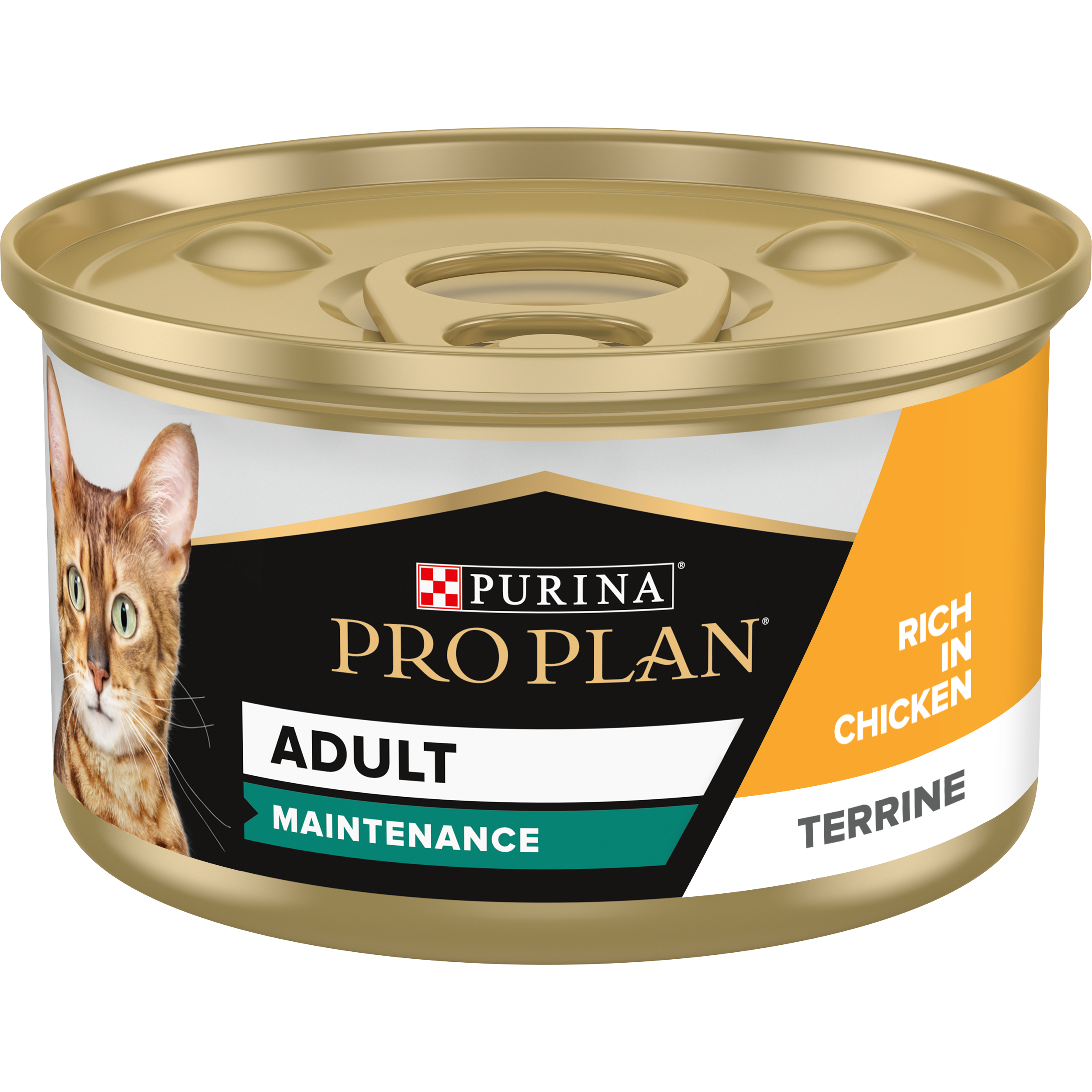 Purina Pro Plan Adult Maintenance, Wet Cat Food, Terrine rich in Chicken