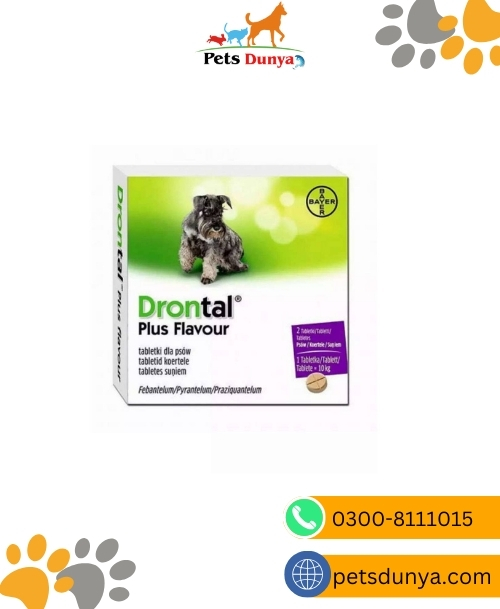 Drontal Plus for Dogs (1 Tablet)