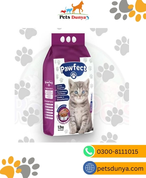 Pawfect Kitten Food Premiun Animal & Fish Protein