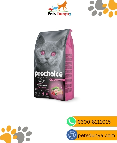 Prochoice Kitten Food chicken & Rice