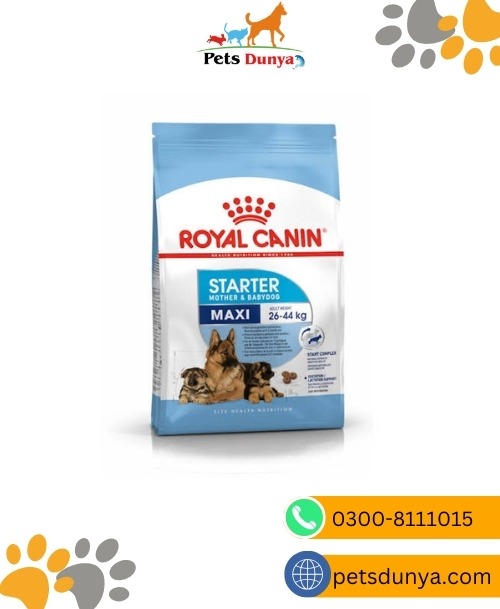 Royal Canin Maxi Starter