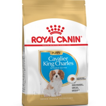 BREED HEALTH NUTRITION CAVALIER KING CHARLES PUPPY 1.5 KG