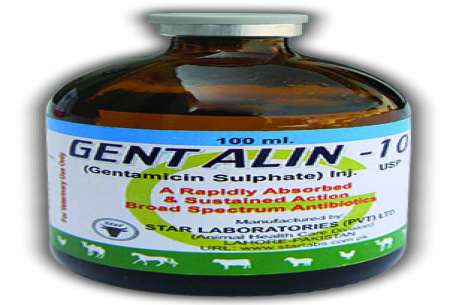 GENTALIN 25% INJECTION 100ml