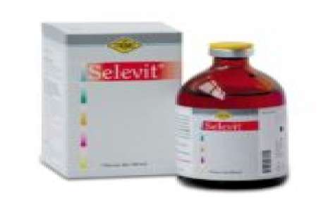 Selevit Injection 100 ml