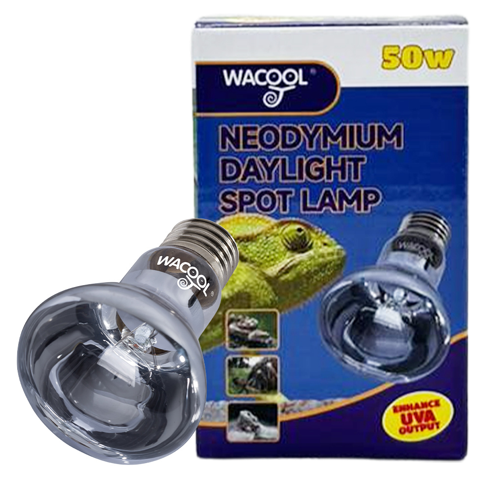 Wacool Neodymium Daylight Spot Lamp 50W