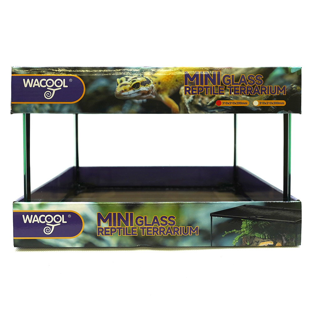 Wacool Mini Glass Reptile Terrarium 31x31x20cm