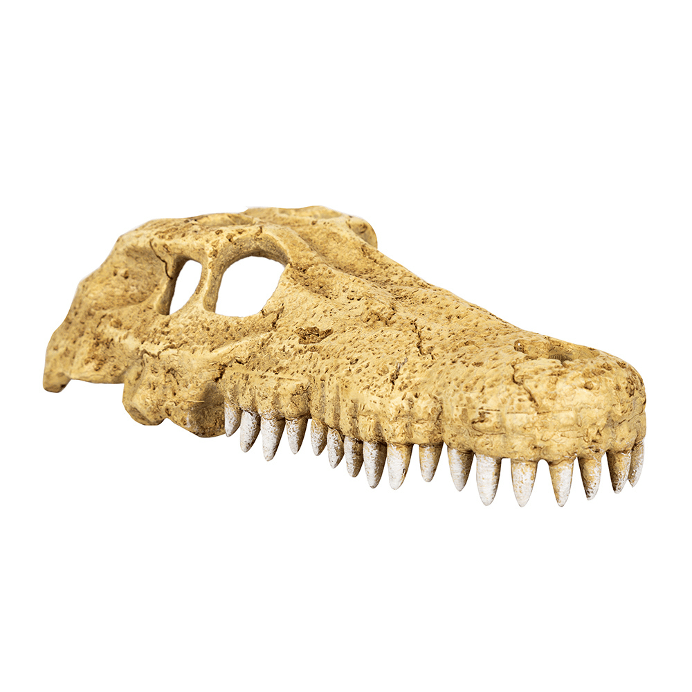 Wacool Crocodile Skull Hide Cave