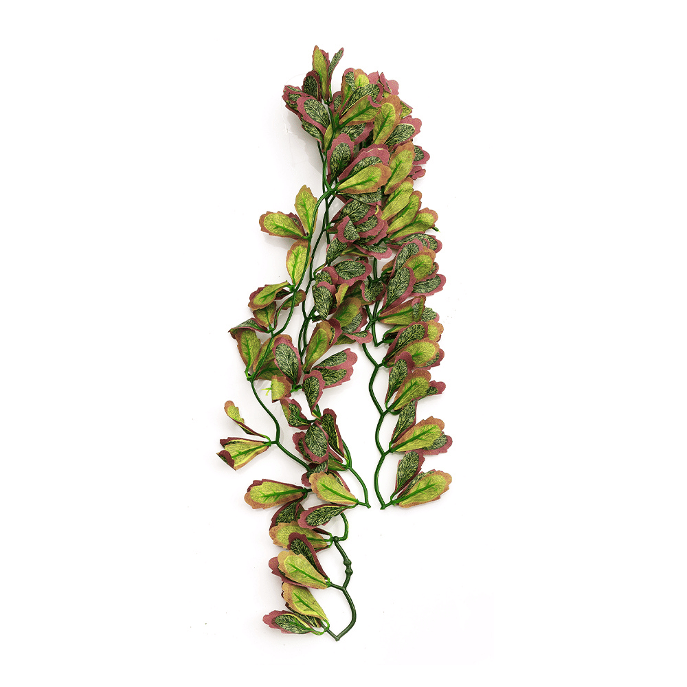 Wacool Var Marginatum Tiffany Artificial Terrarium Plant