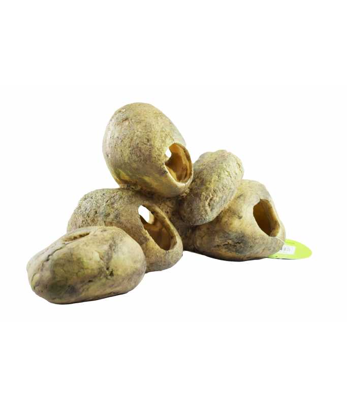 Yusee Aquarium Decoration