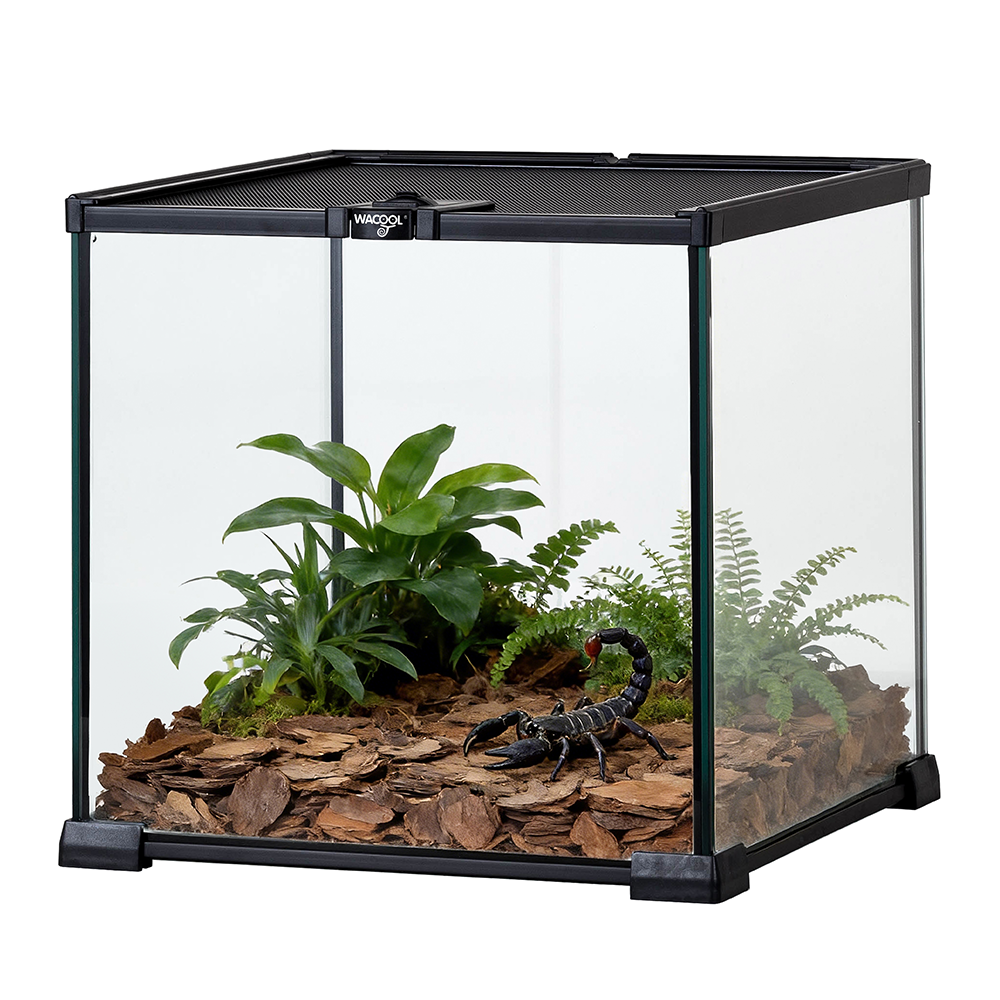 Wacool Mini Glass Reptile Terrarium 31x31x30cm