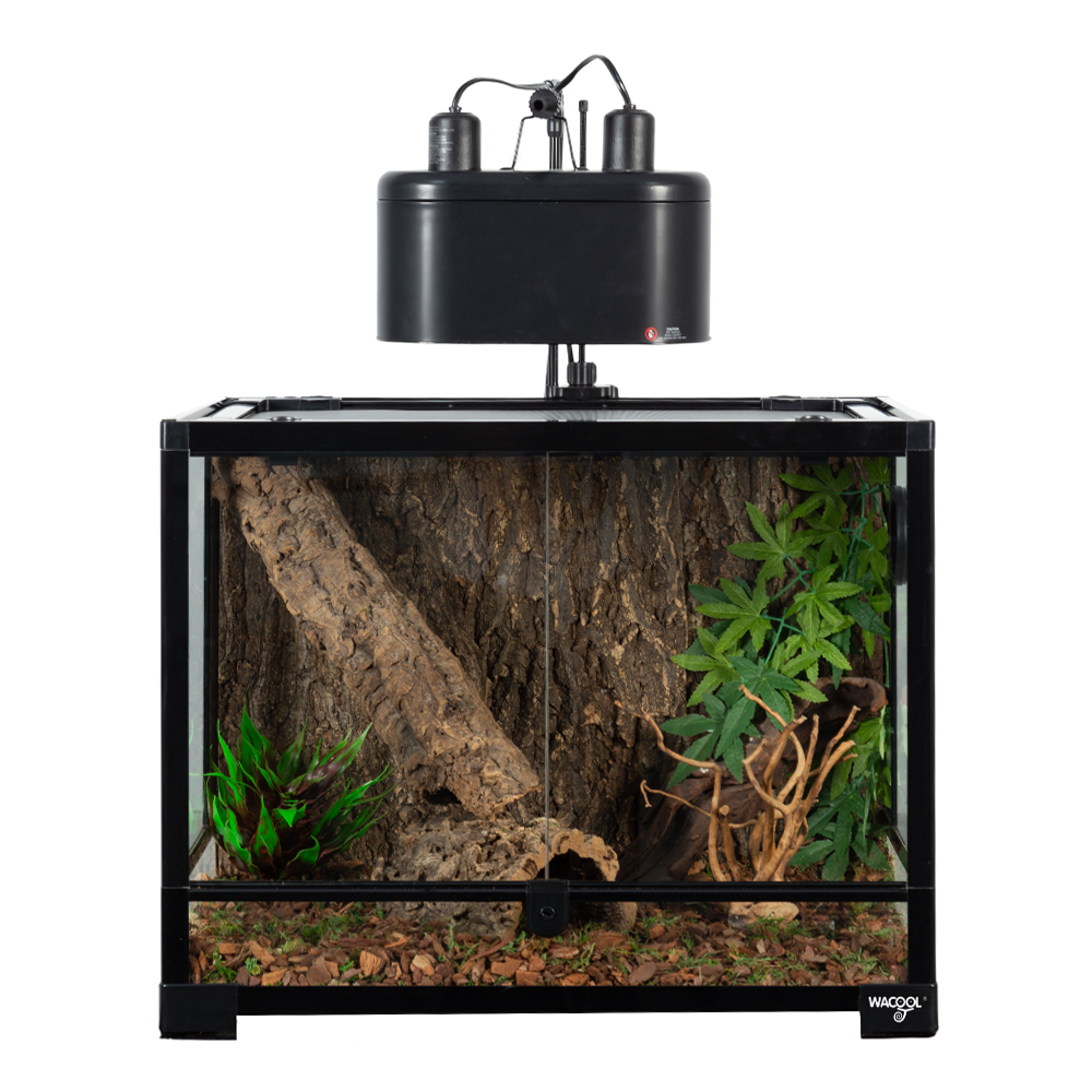 Wacool Knock Down Terrarium Swinging Door 60x45x45cm