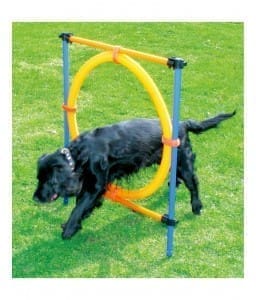 Pawpals Aglt Dog Training Ring 117X10X10Cm