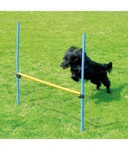 Pawpals Agility Dog Training Hurdle 117X6X6Cm