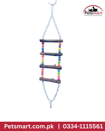 Bird 4 step bridge swing