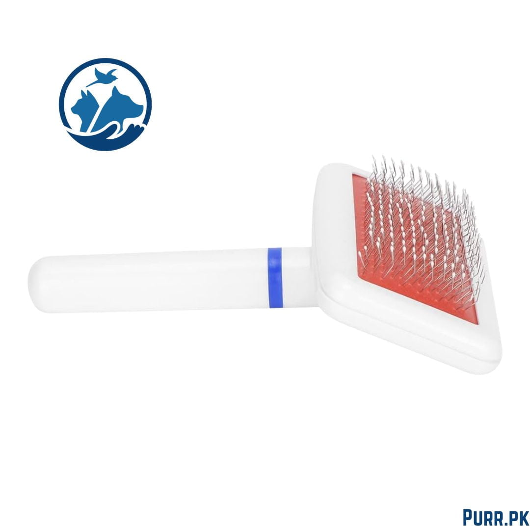 Plastic White Brush in Pack