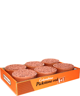 columbine Pickstone red "tray 5 + 1"