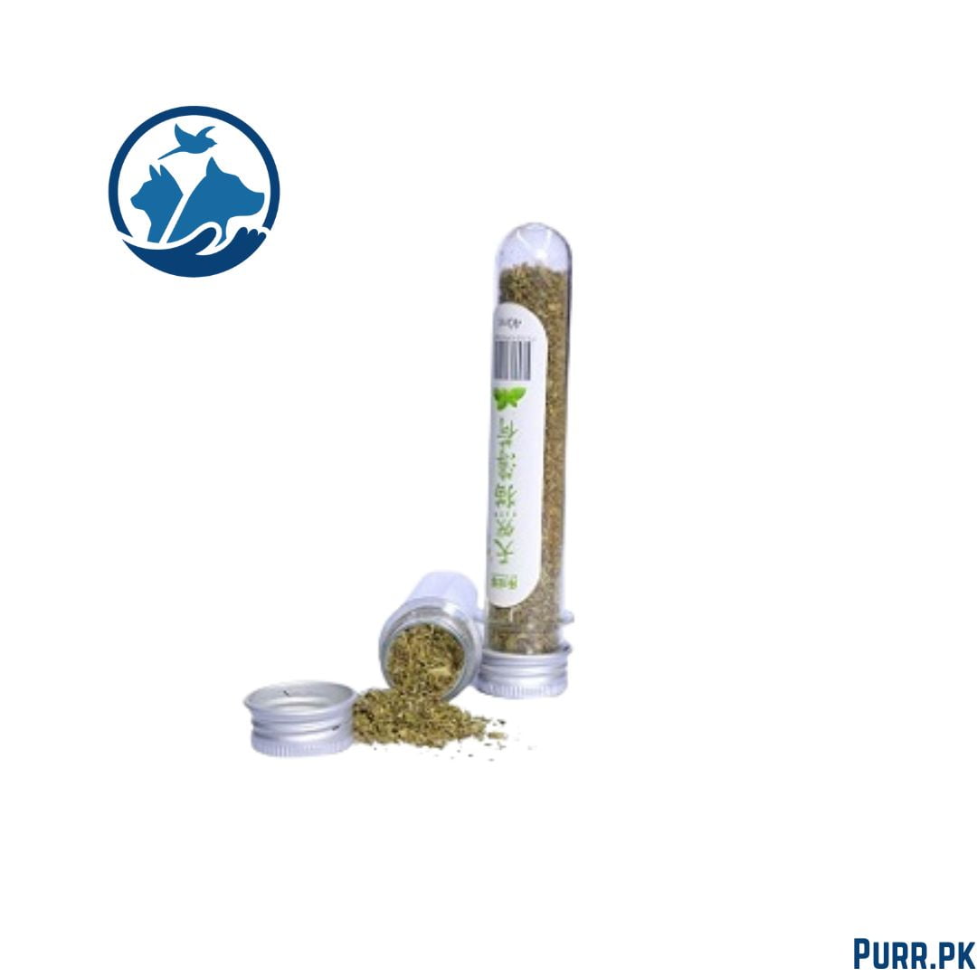 Catnip for Cats