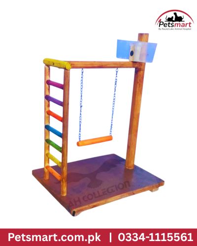 Bird Play Stand with Ladder and Swing