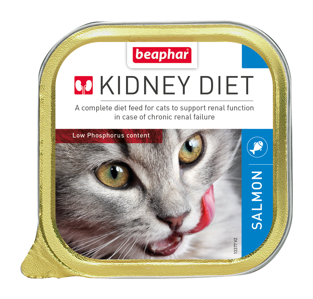 Wet Food - Kidney/Renal Diet Salmon 16 x 100 g
