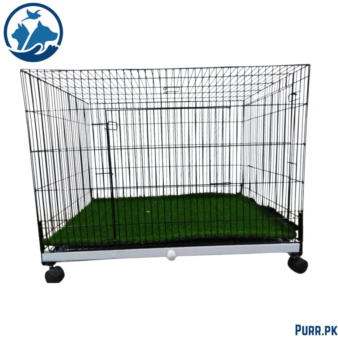 Folding Iron Cage