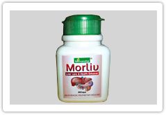 Morliv