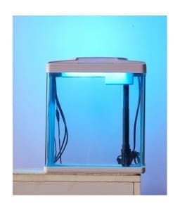 Karis Aquarium 390 X 250 X 440Mm -Assorted Colors