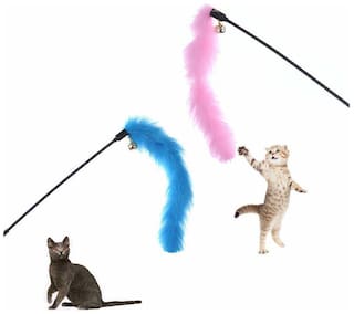 CAT PLAYING STICK FEATHER LOW