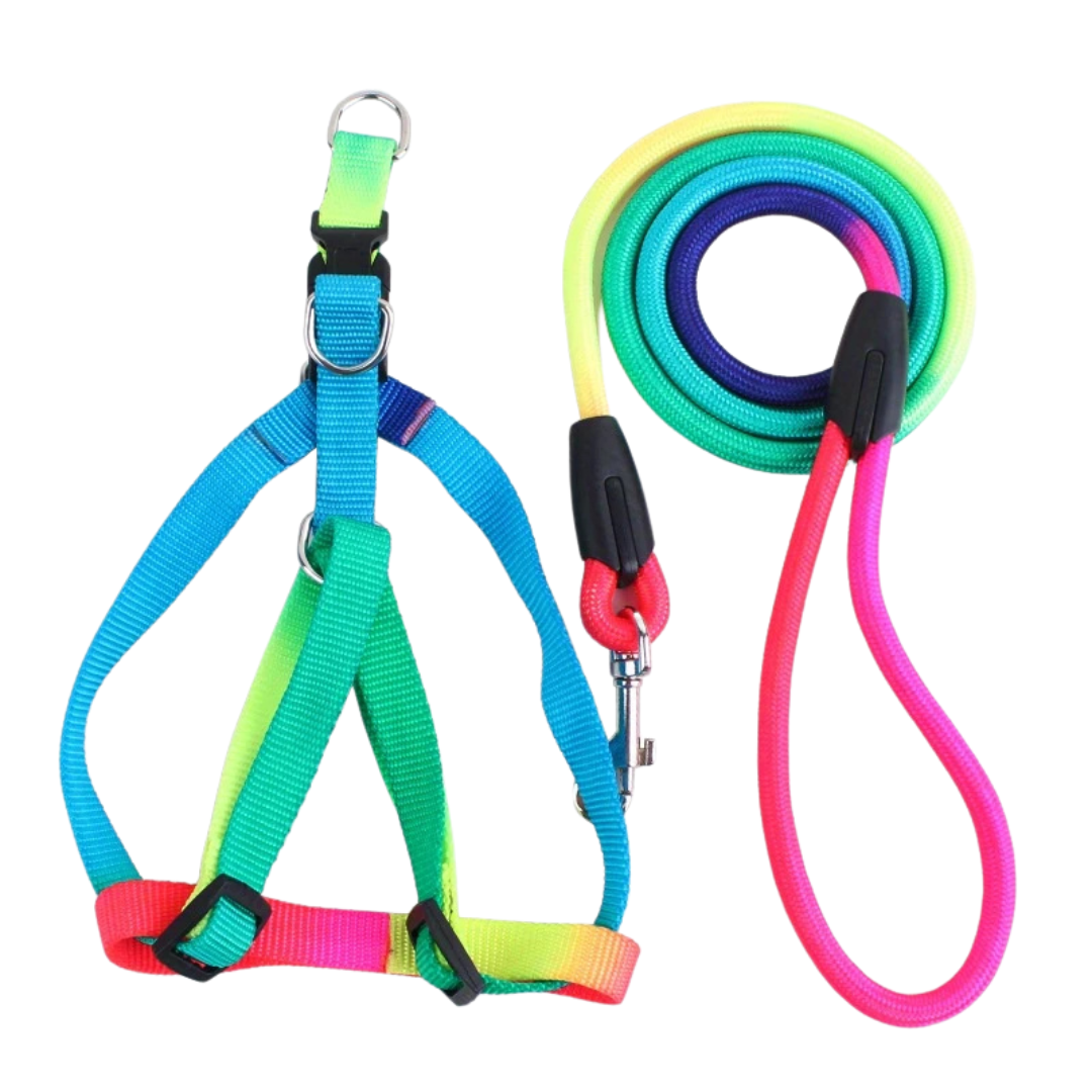 Habibi Pets Reflective Harness and Leash Set - Large