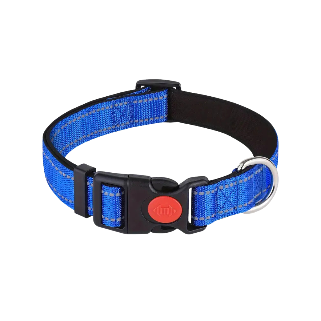 Neoprene Padded Collar - Royal Blue (XS)