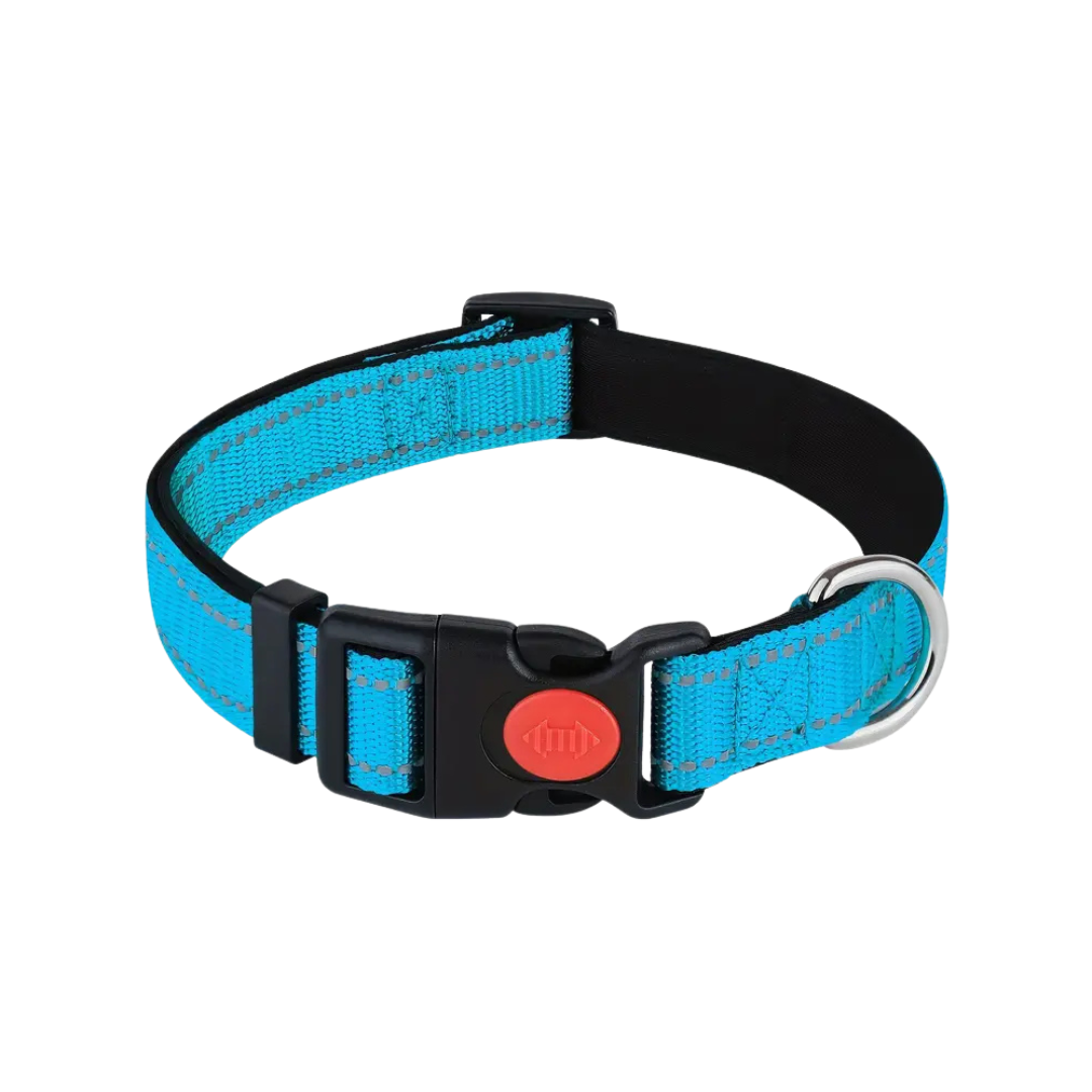 Neoprene Padded Collar - Sky Blue (M)