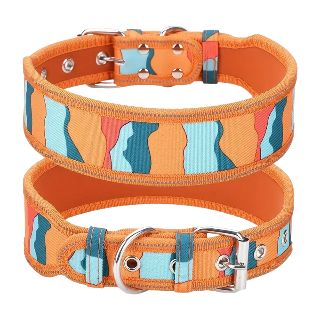 Heavy Duty Dog Collar - Orange (M)