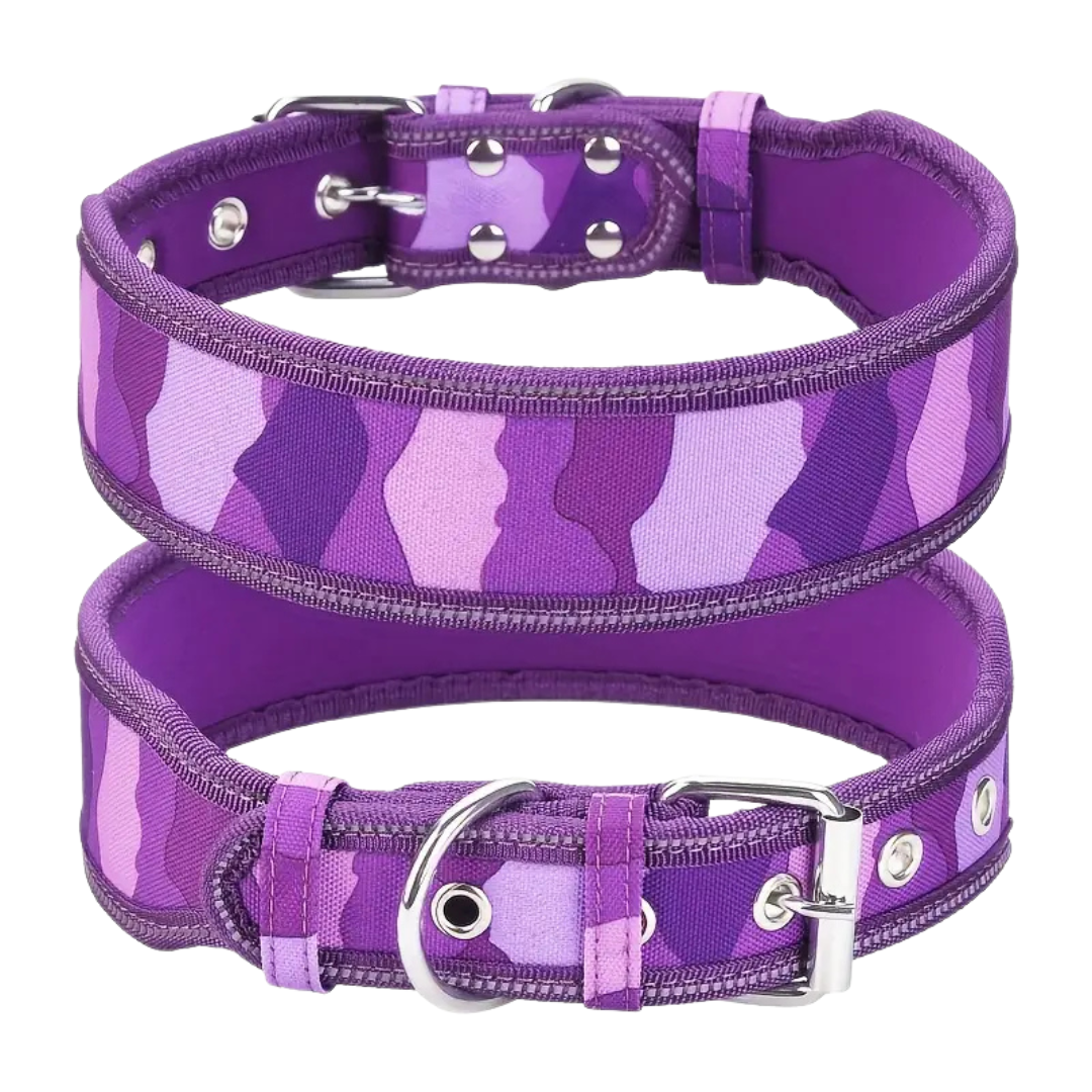 Heavy Duty Dog Collar - Purple (M)