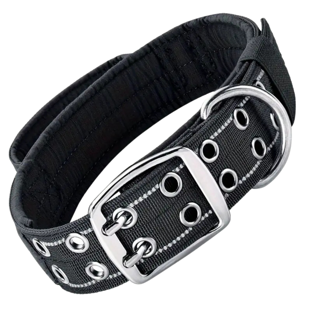 Premium Tactical Dog Collar - Black (M)