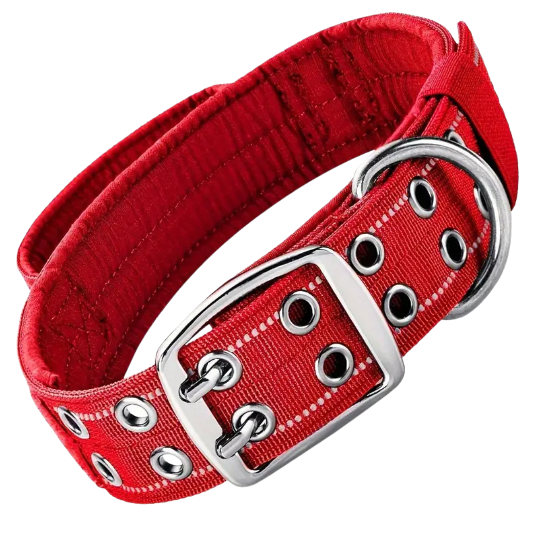 Premium Tactical Dog Collar - Red (L)