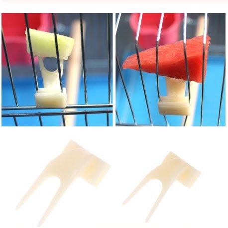 Bird Parrot Food Forks