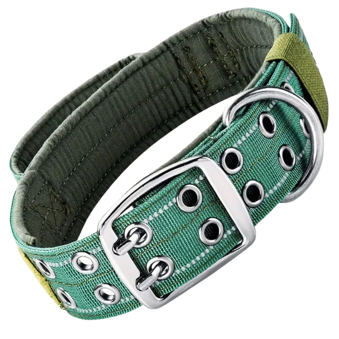 Premium Tactical Dog Collar - Green (M)