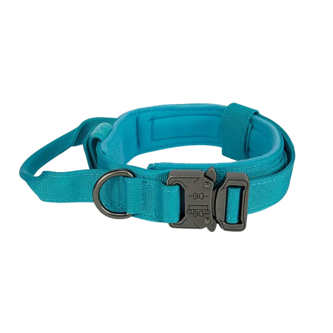 Tactical Dog Collar - Turquois - (XL)