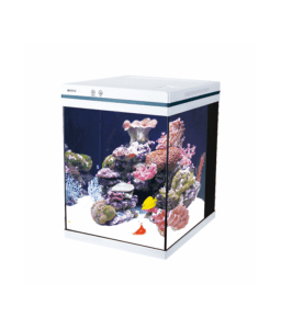 Boyu MEZ Series Intelligent Aquarium