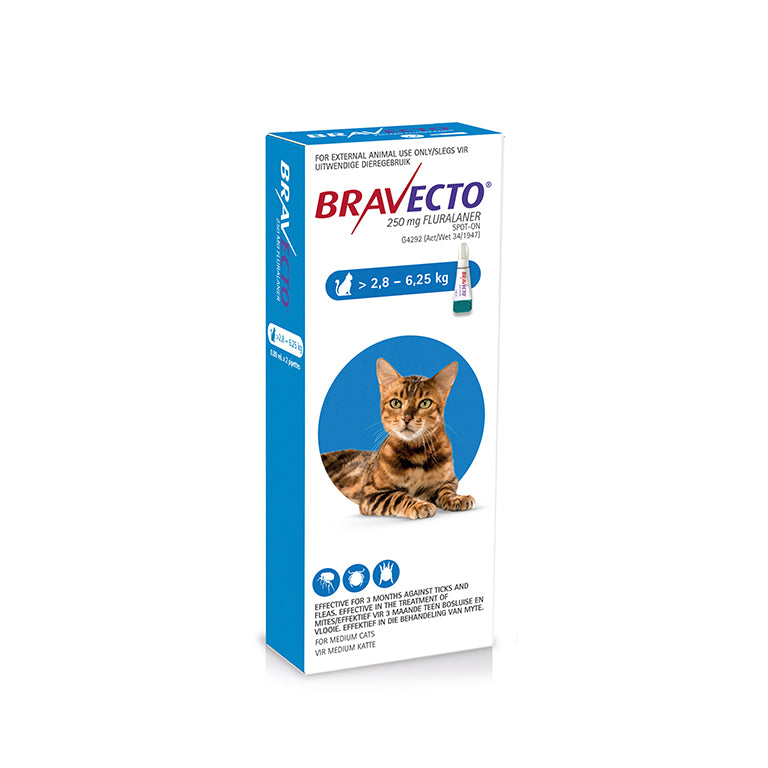 Spot-On for medium cats >2.8-6.25kg (1 pipette)