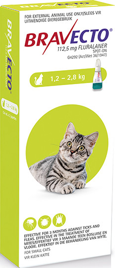 Bravecto for Cats 1.2 - 2.8 kg Spot-On 0.4ml
