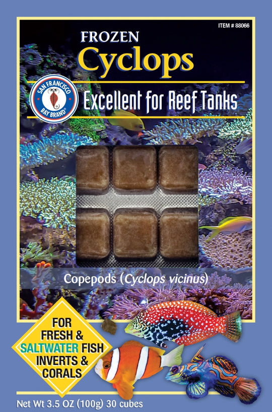 San Fransisco Bay Brand Cyclops Frozen Cube 100g