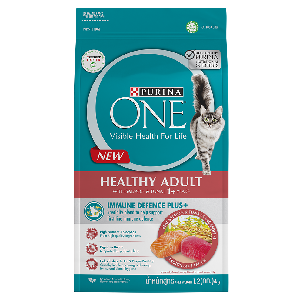 Purina One Healthy Adult Cat Dry Food Salmon & Tuna