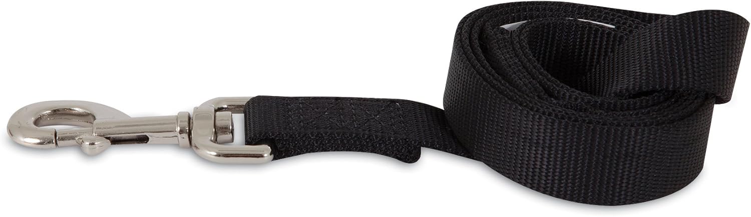 Aspen Pet Products Standard Nylon Lead, 4' x 5/8", Black