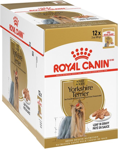 Royal Canin Breed Health Nutrition Yorkshire Adult (WET FOOD - Pouches) Pack of 12