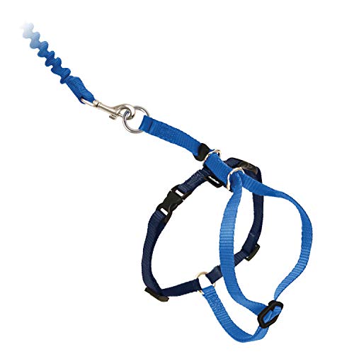 Pet Safe Easy Walk Cat Harness & Lead (Royal Blue, Medium) Cat Harnesses