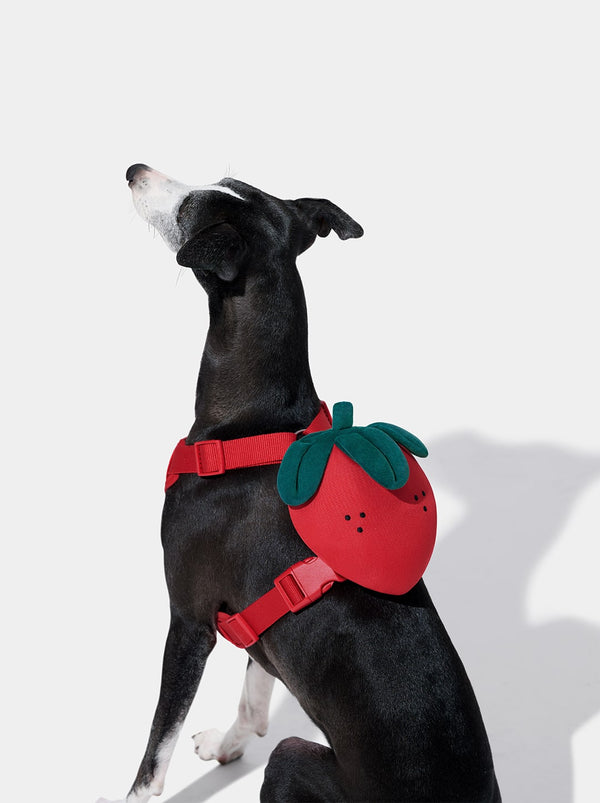 VETRESKA Strawberry Pet Backpack, Harness & Leash Set (XS)