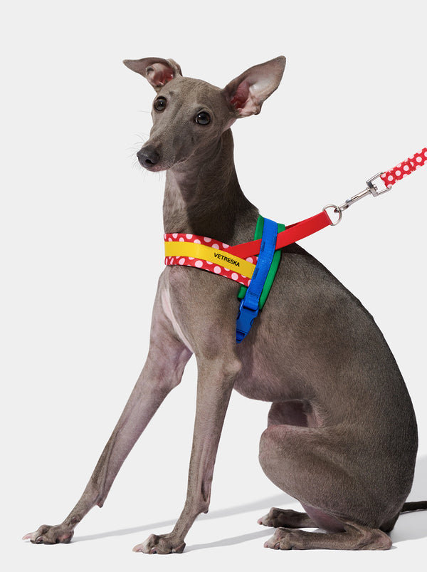 VETRESKA Chroma Pet Harness & Leash Set-Red (L)