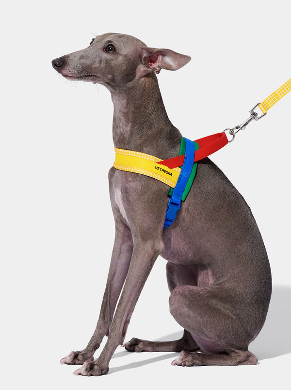 VETRESKA Chroma Pet Harness & Leash Set-Yellow (M)