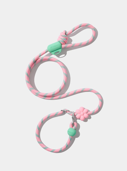 VETRESKA Connect Hands-Free Rope Leash for Pets (Flora)