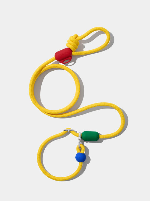 VETRESKA Connect Hands-Free Rope Leash for Pets (Chroma)